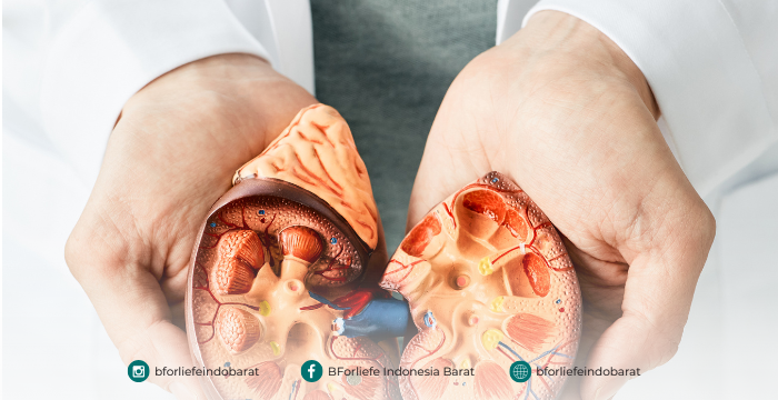 Artikel Konten Website BForliefe